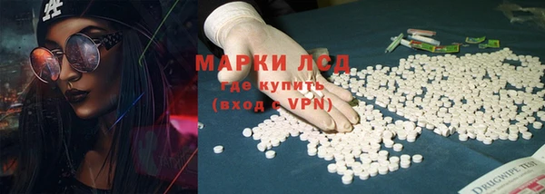 ПСИЛОЦИБИНОВЫЕ ГРИБЫ Инсар