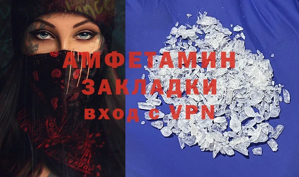 ПСИЛОЦИБИНОВЫЕ ГРИБЫ Инсар