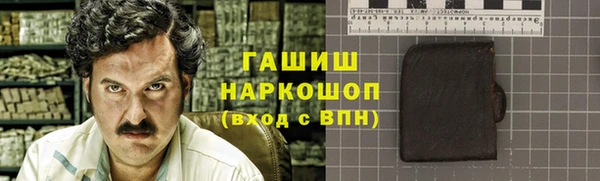 Альфа ПВП Инта
