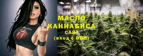 Альфа ПВП Инта