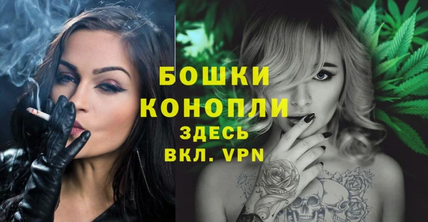 Альфа ПВП Инта