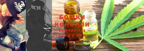 ПСИЛОЦИБИНОВЫЕ ГРИБЫ Инсар