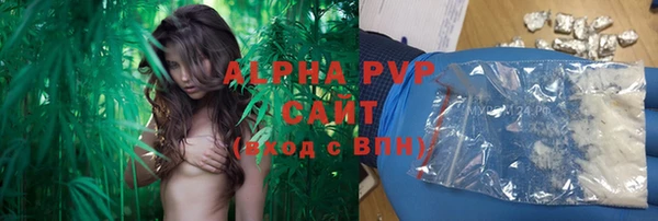 ПСИЛОЦИБИНОВЫЕ ГРИБЫ Инсар