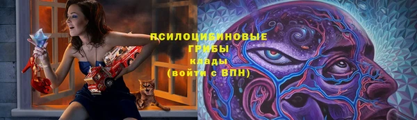 ПСИЛОЦИБИНОВЫЕ ГРИБЫ Инсар