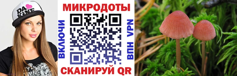 Купить где  Кунгур  Псилоцибиновые грибы Magic Shrooms 